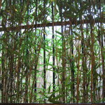 隆兵そば - カウンターから見る景色