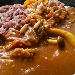 たんぽぽ - 「薬膳カレー」