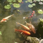 阿闍梨餅本舗 京菓子司 満月 - 