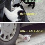 阿闍梨餅本舗 京菓子司 満月 - 