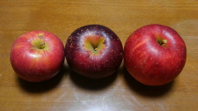 和合みどりの駅 - 左沢（その他）の写真