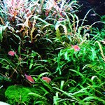 AquaBar Linden - 