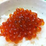 久原 - 【2011.9】ミニいくら丼UP