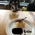 Aiken No Eki - サービスの犬用誕生日ケーキ