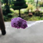レガーロ - 紫いも（旧 下田村、今井さんの無農薬）