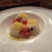cenci - 