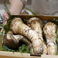 御幸町 田がわ - 