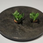 カセント - バジル