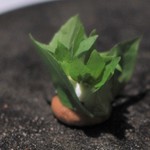 カセント - バジル