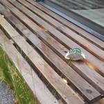 カセント - お店の前の蚊取り線香