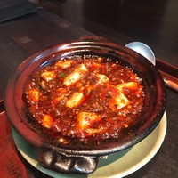 雪梅花 菜根譚 - 