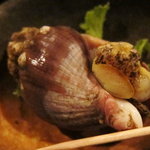 酒盃 - お通し：つぶ貝