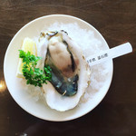 The Oyster Bar Kobe - 