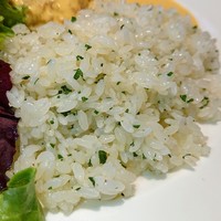 ケンゾーエステイトワイナリー 六本木ヒルズ店 - 