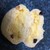 Hedgehog Bakery - 料理写真:カスタードいっぱい！