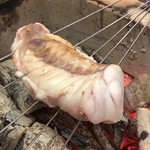 樋山 - 天然のトラフグ