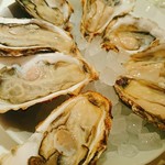 GUMBO&OYSTER BAR - 