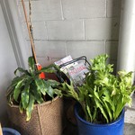 Morning Glass Coffee + Café - 