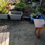 須崎食料品店 - ここで食べます☺️