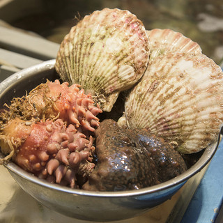 獲れたて！旬の鮮魚・魚介料理