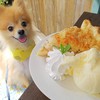 サウスカフェ サウスカフェ