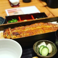 うなぎ 四代目 菊川 グローバルゲート店 - 
