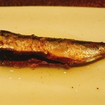 鮓 きずな - オイルサーディン