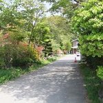 Fukuyoshi Jun Teuchi Soba