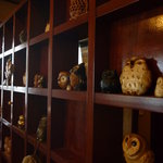 ボア - bois(森)の主、フクロウが店内にたくさんいます