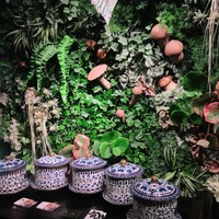 Shangri-La's secret ROPPONGI - 