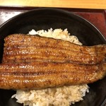 鰻はし本 - うな丼