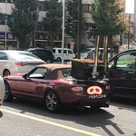 地球の中華そば - おまけ写真(行列中に通り過ぎたロド芋を激写)