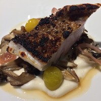レフェルヴェソンス - ハタの炭火焼き、舞茸、銀杏、根セロリのピュレ