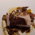 レフェルヴェソンス - 