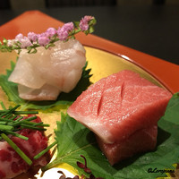 お料理 七草 - 九絵､本鮪 中トロ