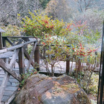 蕎壽庵 - 窓からの景色