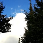 秩父宮ラグビー場 売店 - 