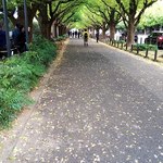 秩父宮ラグビー場 売店 - もうすぐ黄色い絨毯が敷き詰められる事でしょう。