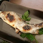 Okueigenjikeiryuunosato - 岩魚塩焼きアップ