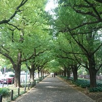 キハチ 青山本店 - 