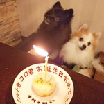 愛犬お宿 伊豆高原 - 【2018.10】わんこ用誕生日ケーキ