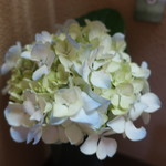 美国観光ハウス - 至る所に素敵な紫陽花が生けられています。