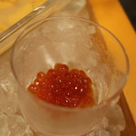 美国観光ハウス - イクラ。