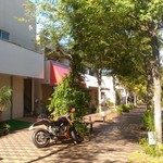 カピバランドＰＵＩＰＵＩ - 緑豊かな商店街の中、カピバラさんの為に、あえて閑静な場所を選んだらしい