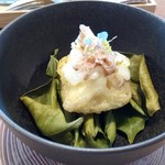 villa del nido - 椎茸、烏賊、牛