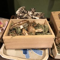 うを徳 - 長野県産松茸