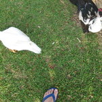 はいむるぶし - 