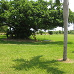 はいむるぶし - 