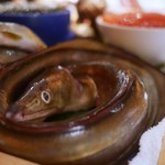 エクアトゥール - 