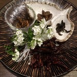 卯屋 - はちの子 カイコ ザザムシ イナゴ